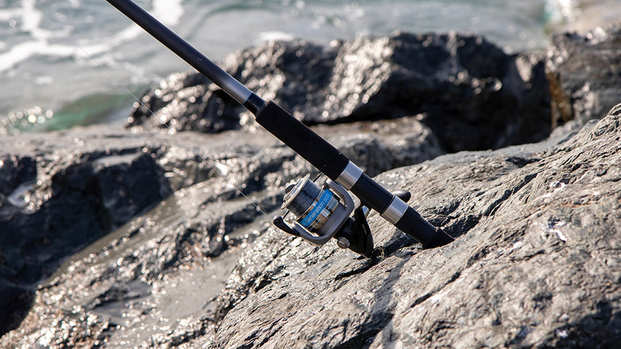 Landing a Fish on Rocks
