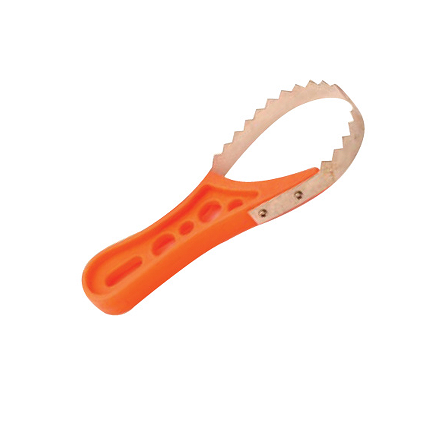 Stainless Steel Scaler